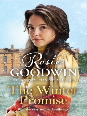 cover image of The Winter Promise